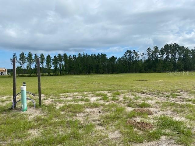 [Address Hidden by Seller], Land O Lakes, FL 34639