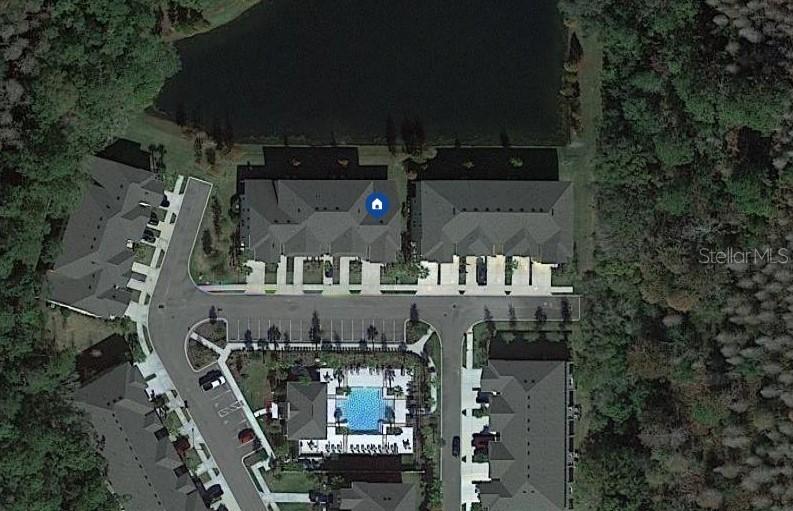 5519 Cumberland Star Ct., Lutz, FL 33558