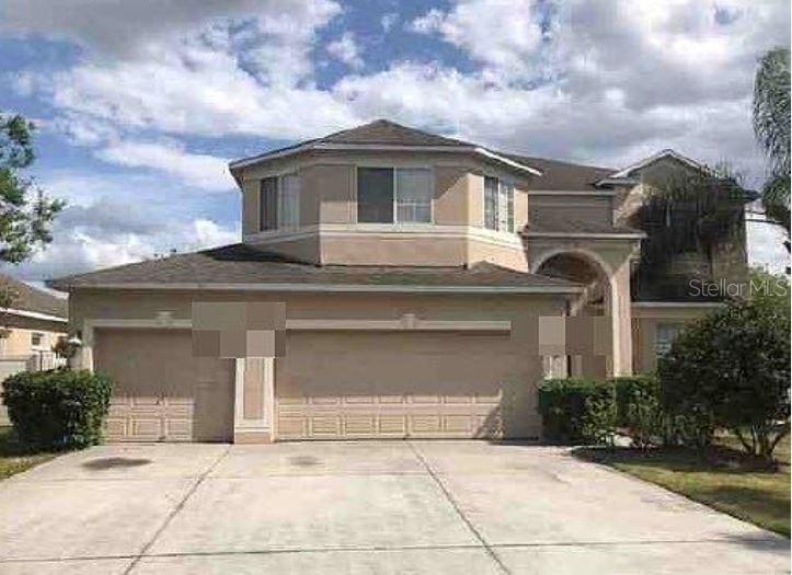 1538 Amaryllis Ct., Trinity, FL 34655