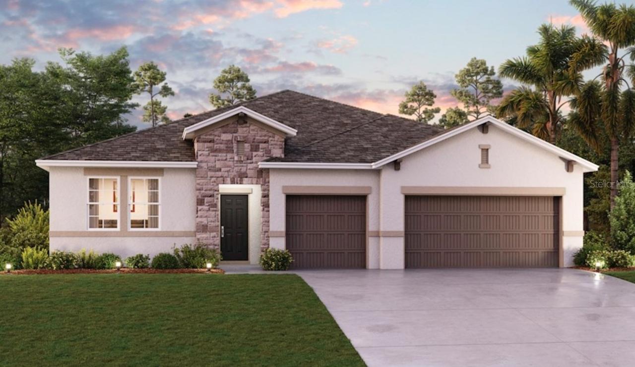 11711 Tetrafin Dr., Riverview, FL 33579