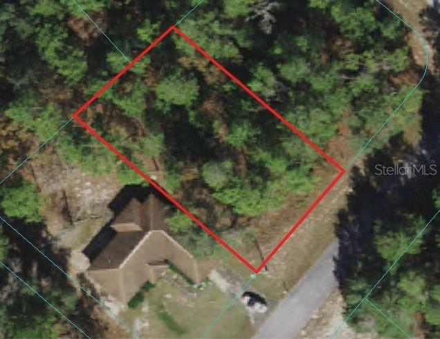 Tbd Sw 165th Pl., Ocala, FL 34470