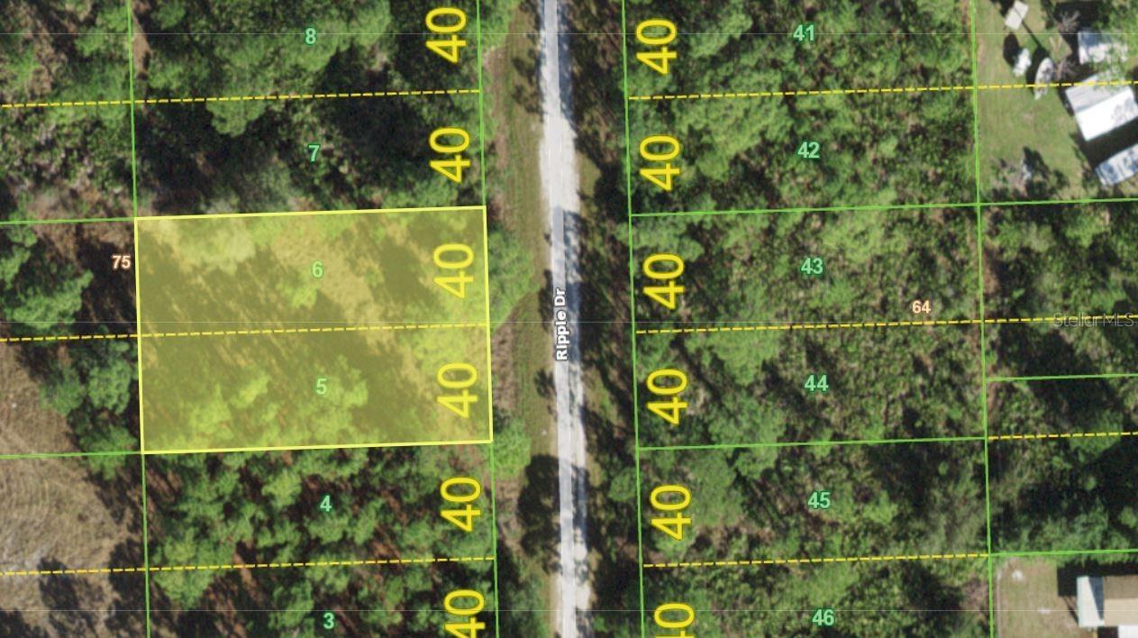 12345 Ripple Dr., Punta Gorda, FL 33955