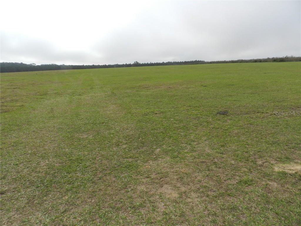 Wilds Rd., Dade City, FL 33525