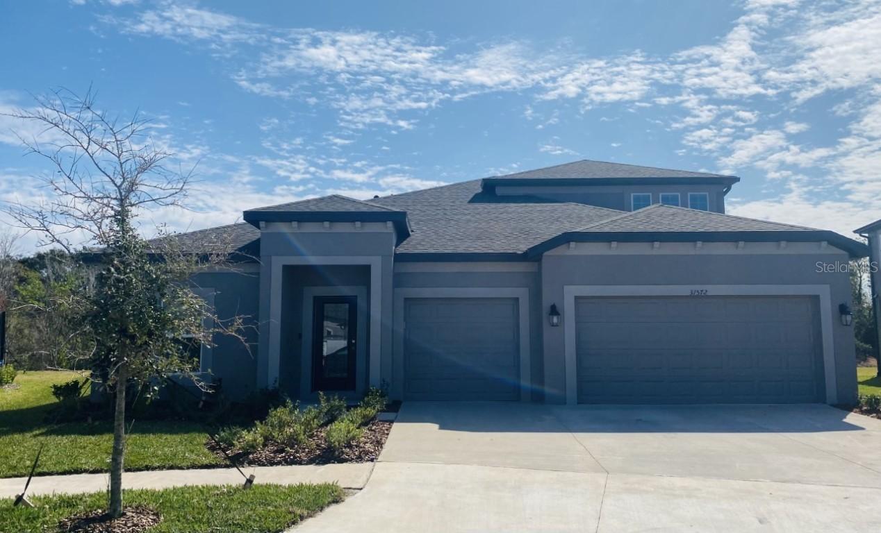 31572 Colada Drift Way, Wesley Chapel, FL 33545