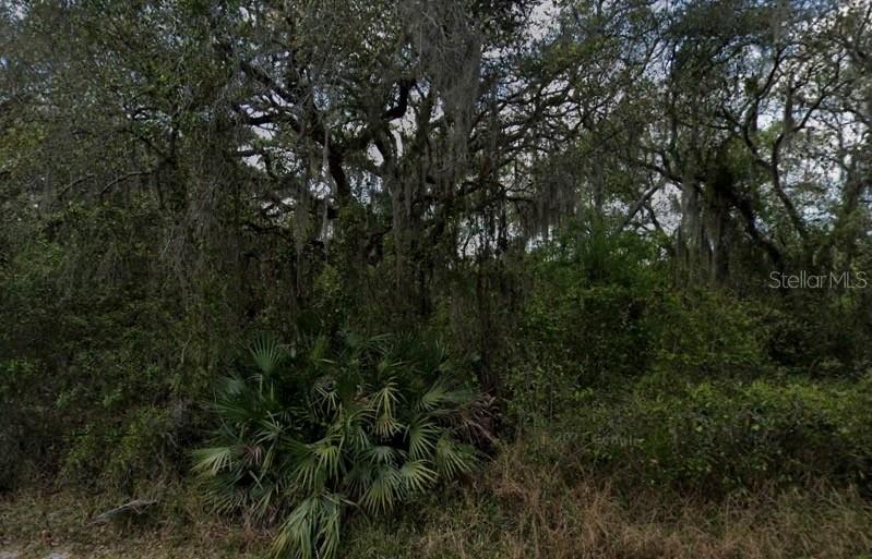 1500 Windermere Rd., Winter Garden, FL 34787