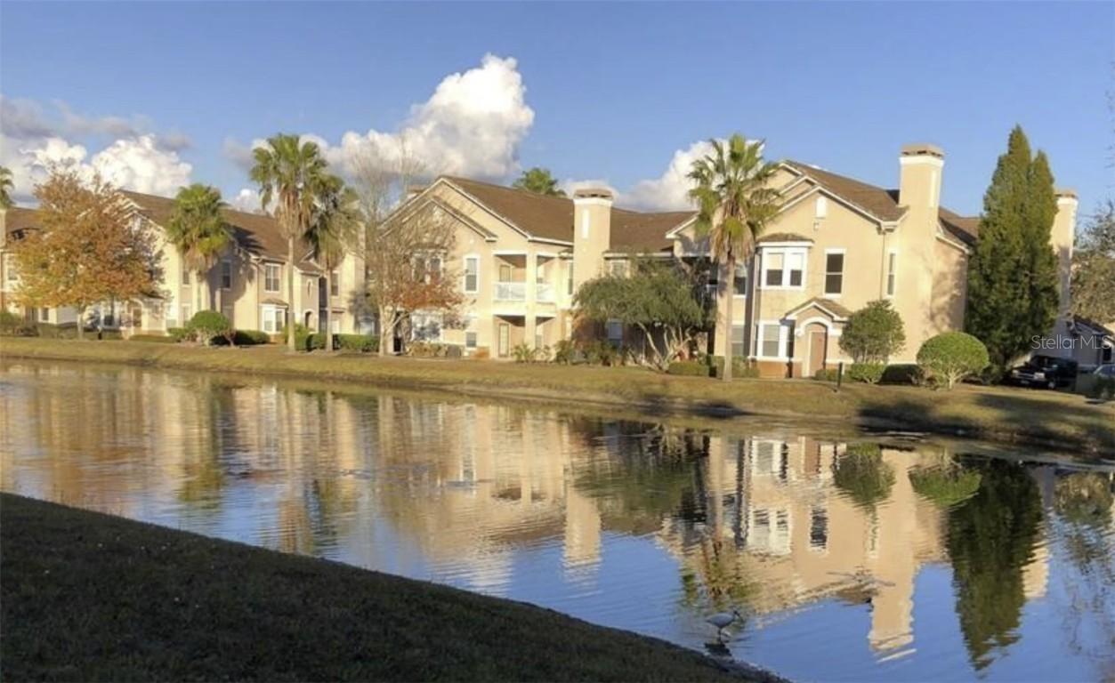 17960 Villa Creek Dr. #1, Tampa, FL 33647