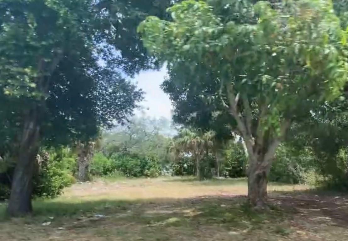 1009 N Garden Ave., Clearwater, FL 33755