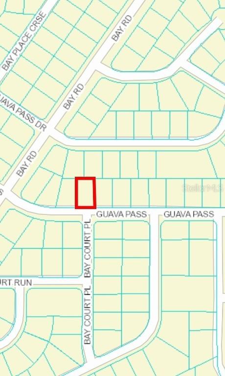 Guava Ter., Ocklawaha, FL 32179