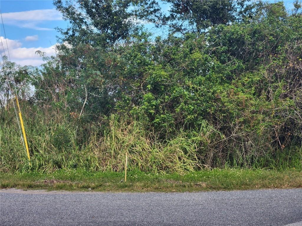 E 15th St., Apopka, FL 32703