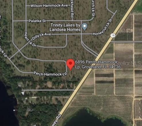 6896 Perch Hammock Loop, Groveland, FL 34736