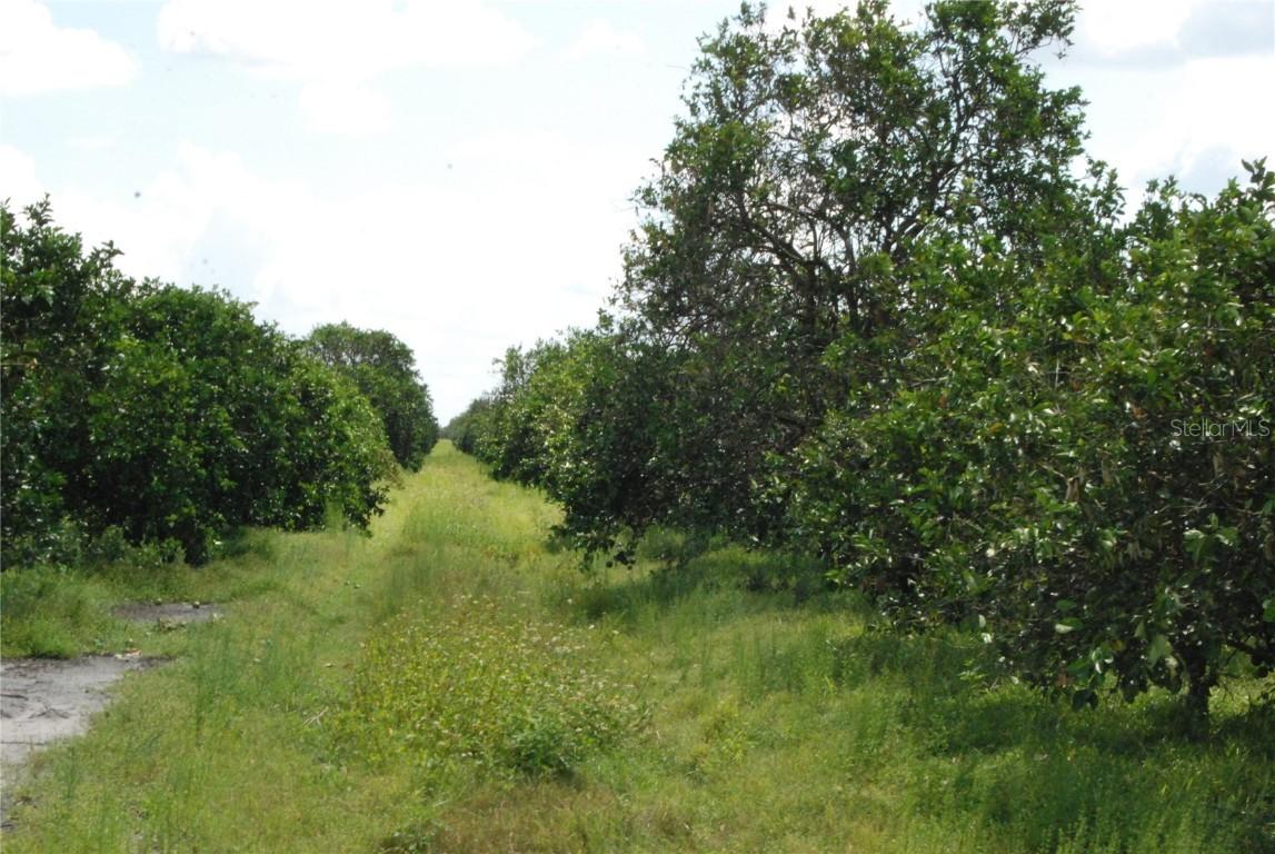 NE Hwy 70, Arcadia, FL 34266