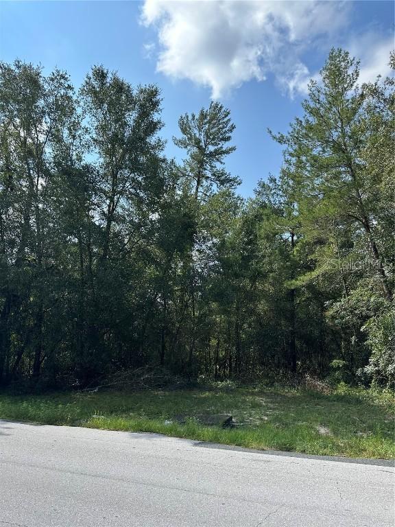SW 127th Lane Rd., Ocala, FL 34473