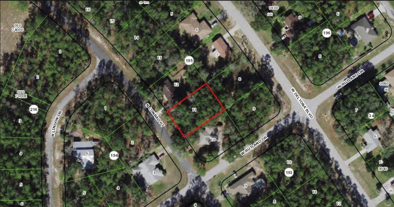 10075 N Conrad Point, Citrus Springs, FL 34434