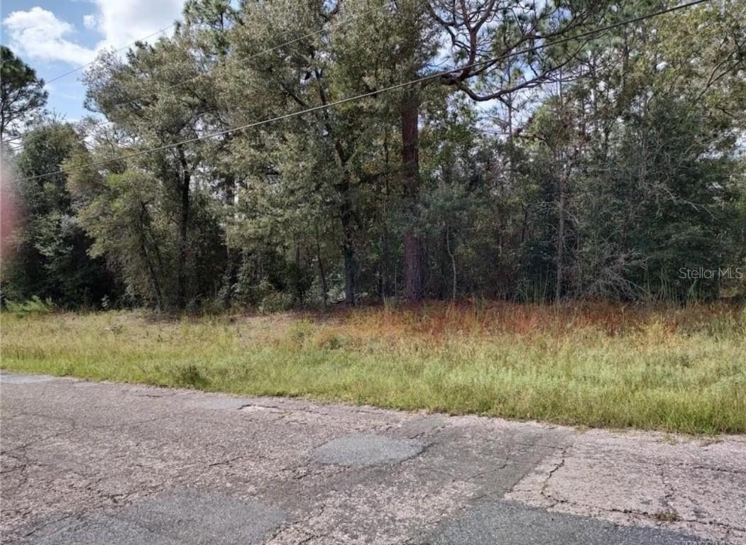 Lot 21 SW 30th Avenue Rd., Ocala, FL 34473