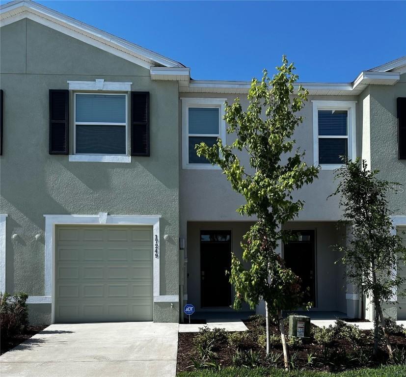 17249 Amber Aspen Way, Land O Lakes, FL 34638