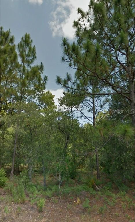 [Address Hidden by Seller], Citrus Springs, FL 34433