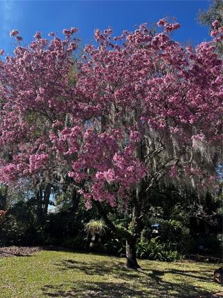 Homes Just Sold in Winter Park: January 14th to January 20th