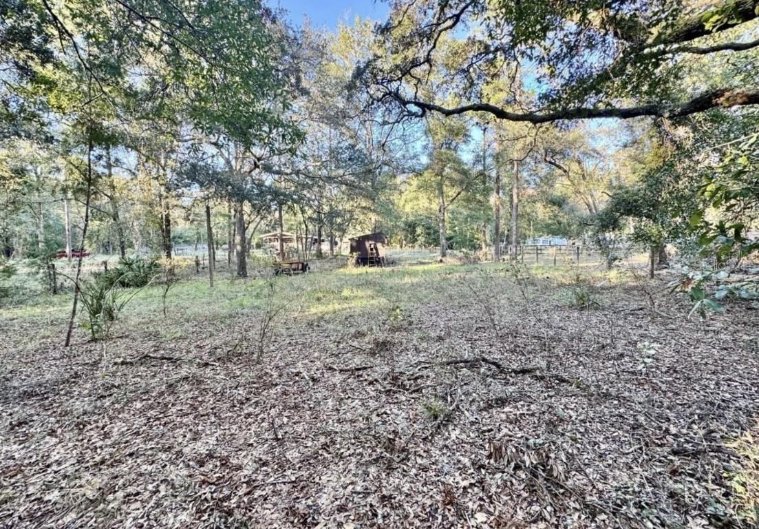 South Rd., Altoona, FL 32702