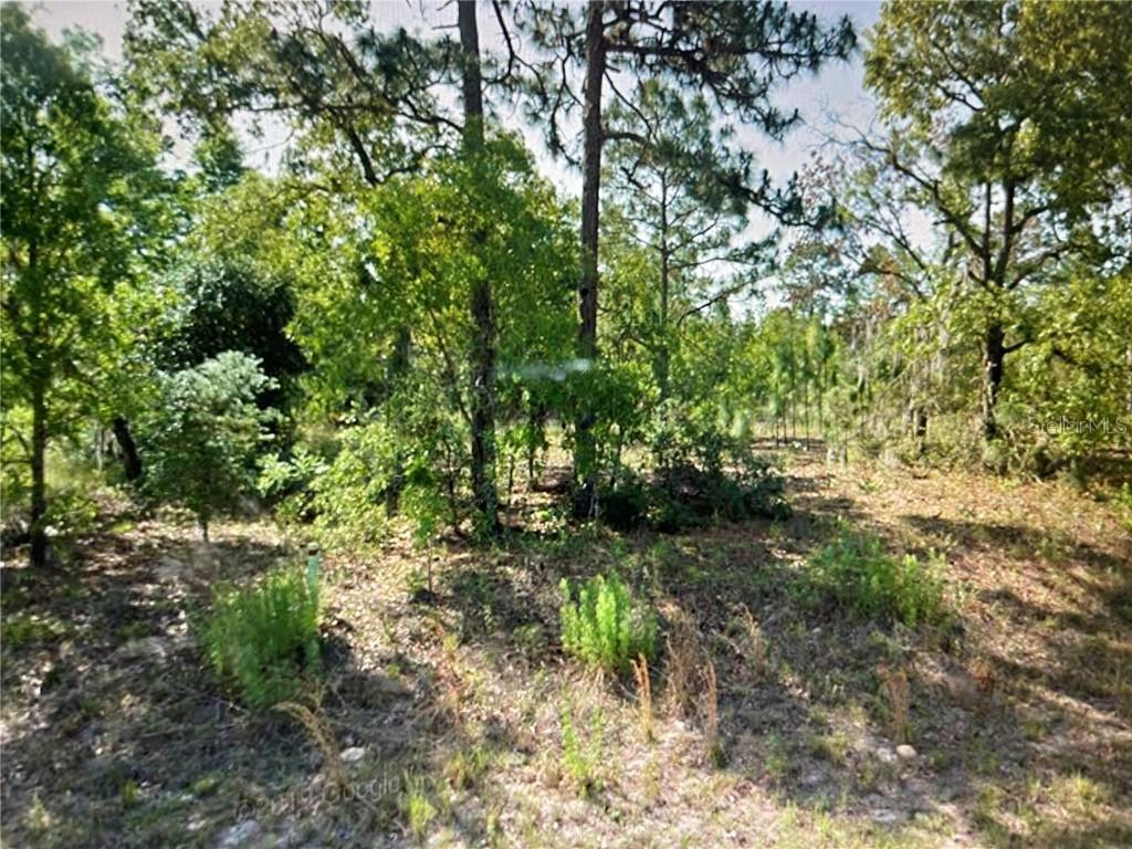 9195 N Athens Dr., Citrus Springs, FL 34433