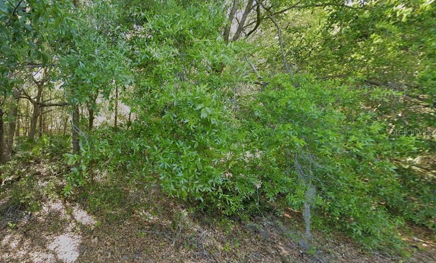 Pershing Ave., Orlando, FL 32822