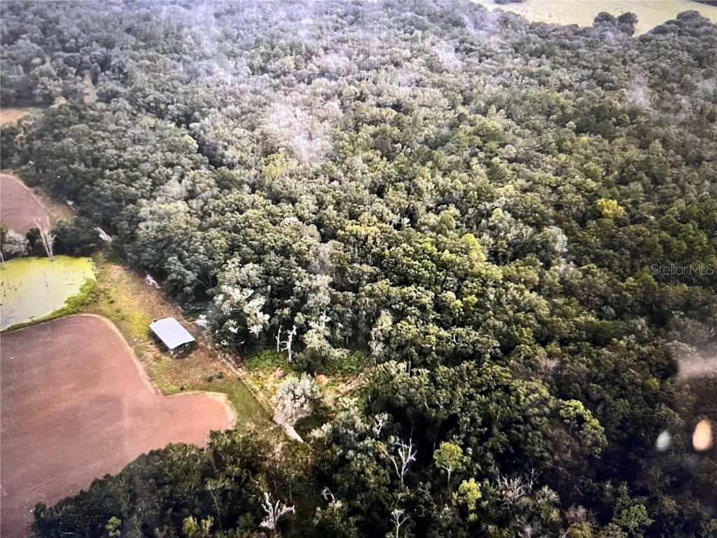 Skinner Rd., Westville, FL 32464