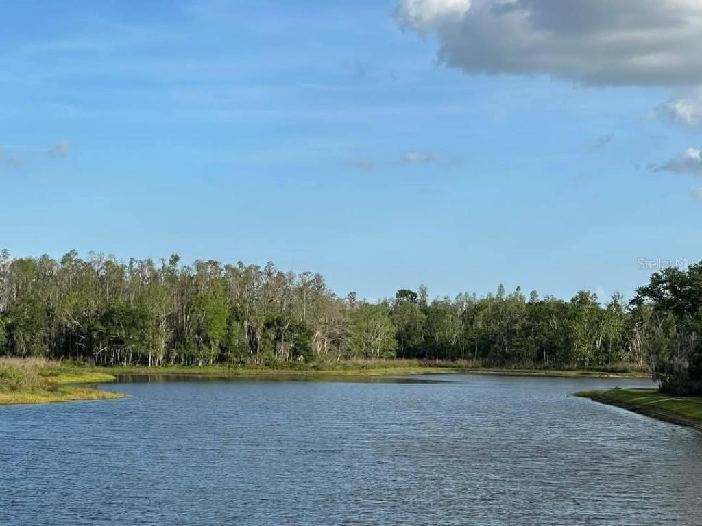 [Address Hidden by Seller], Wimauma, FL 33598