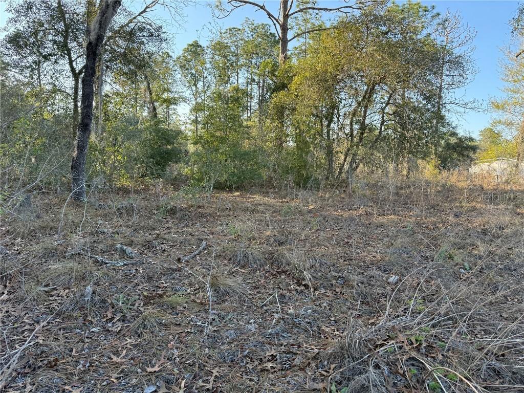 [Address Hidden by Seller], Williston, FL 32696