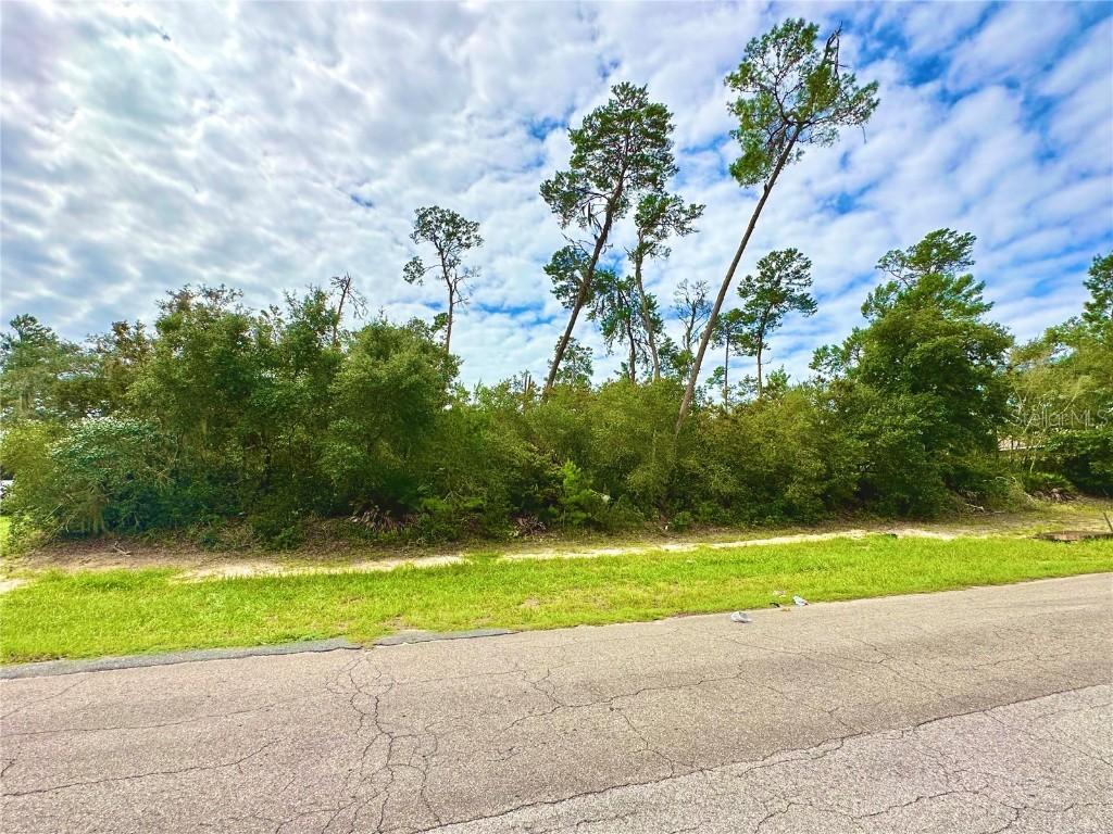 3270 W Crandon Dr., Citrus Springs, FL 34433