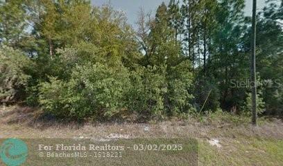 3243 W Cushion Dr., Citrus Springs, FL 34433