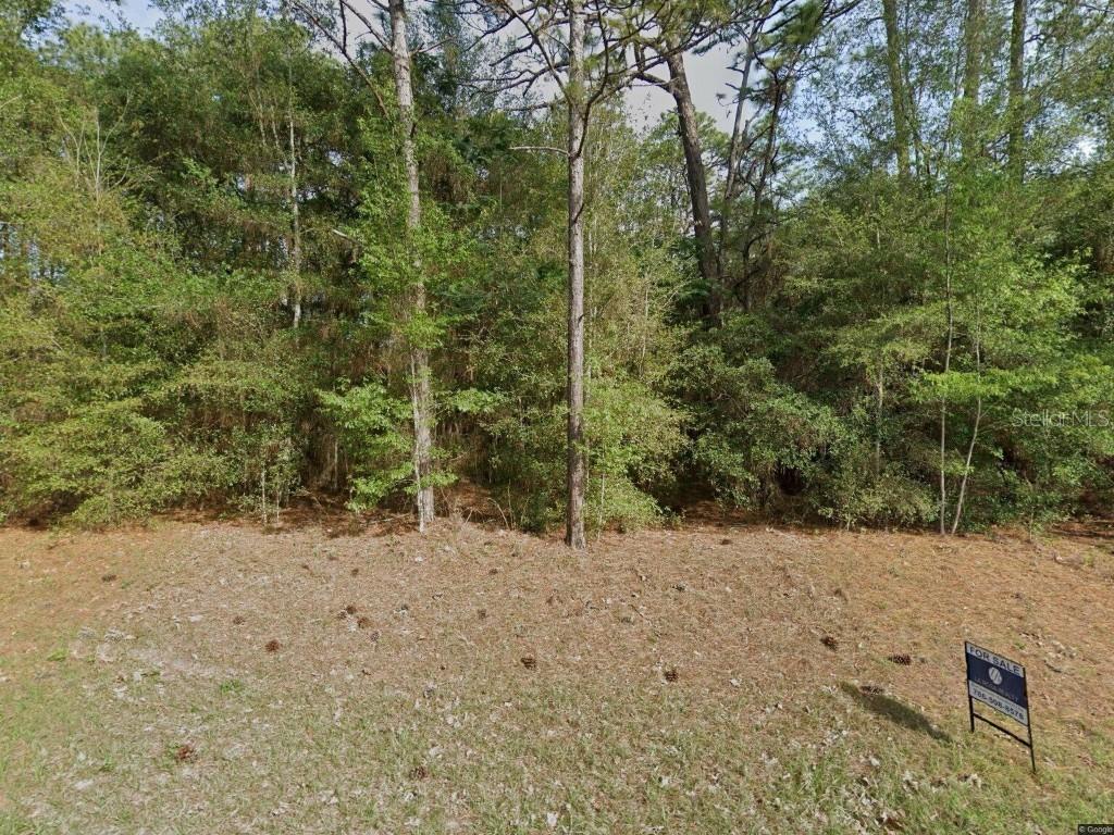 [Address Hidden by Seller], Beverly Hills, FL 34465