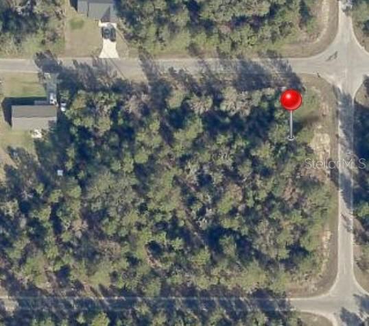 Fisher Court, Ocklawaha, FL 32179