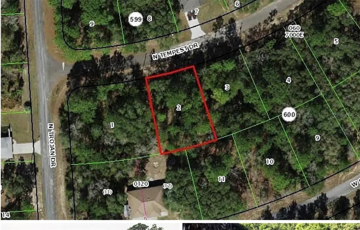8415 N Tempest Dr., Citrus Springs, FL 34433