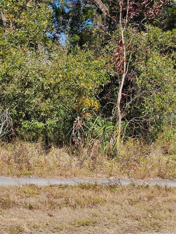 [Address Hidden by Seller], Spring Hill, FL 34609