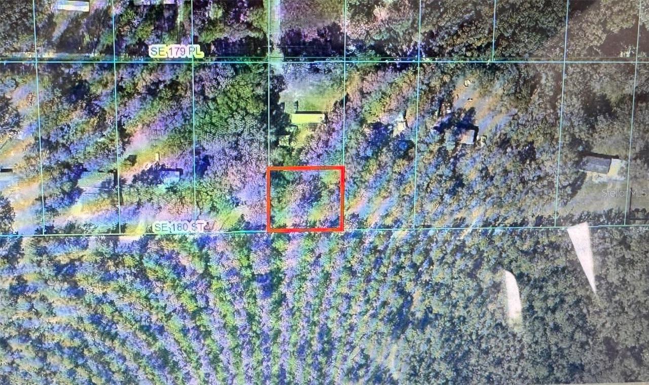 2827 SE 180th St., Summerfield, FL 34491