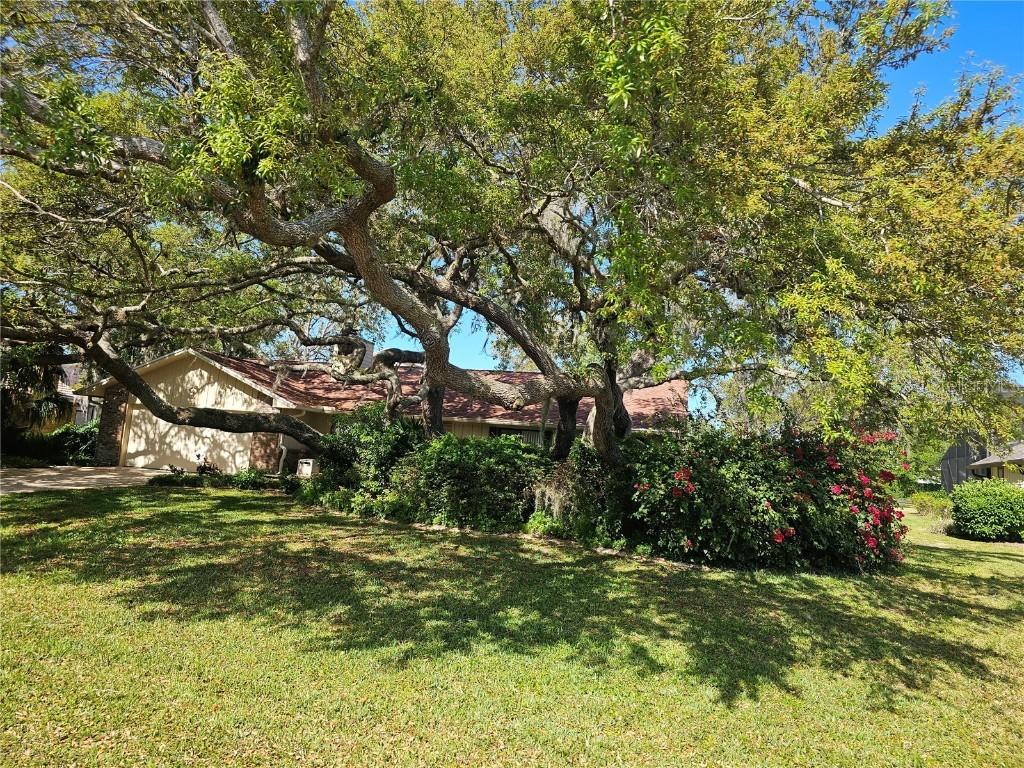 1836 Wiley Post Tr., Port Orange, FL 32128