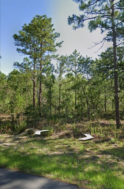 1918 Cr 243c, Wildwood, FL 34785