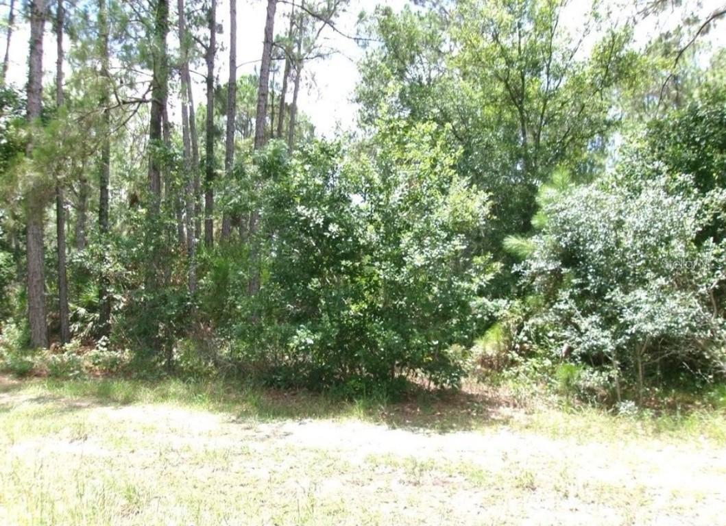 1810 S Griese Rd., Avon Park, FL 33825