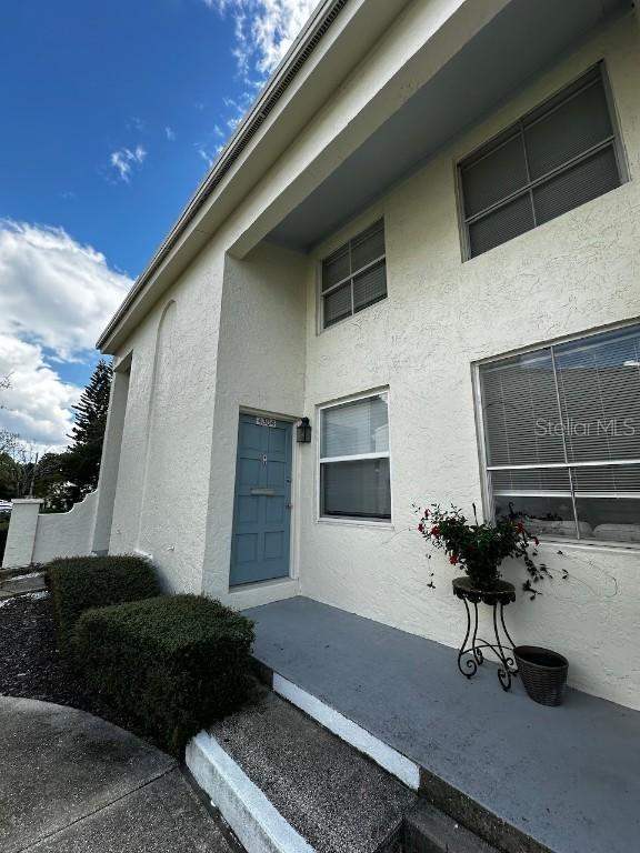 4304 La Mora Ct., Tampa, FL 33611