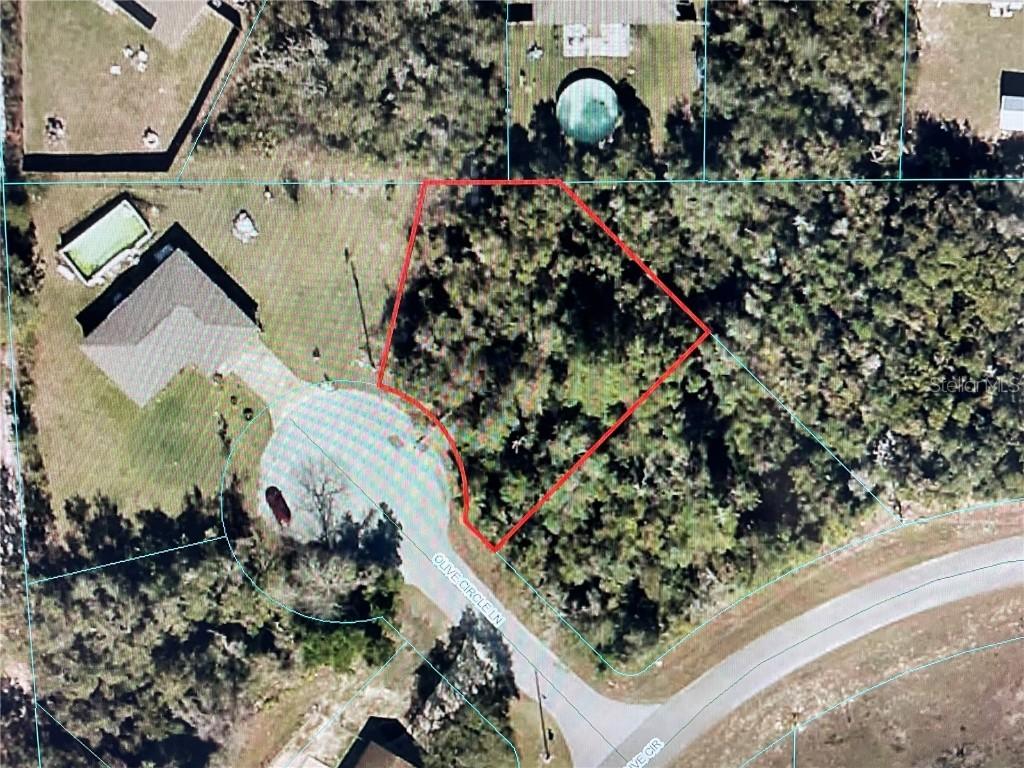 TBD Olive Circle Ln., Ocala, FL 34472