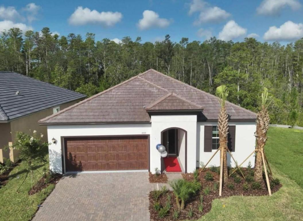 9739 Minnow Ray Dr., Land O Lakes, FL 34638