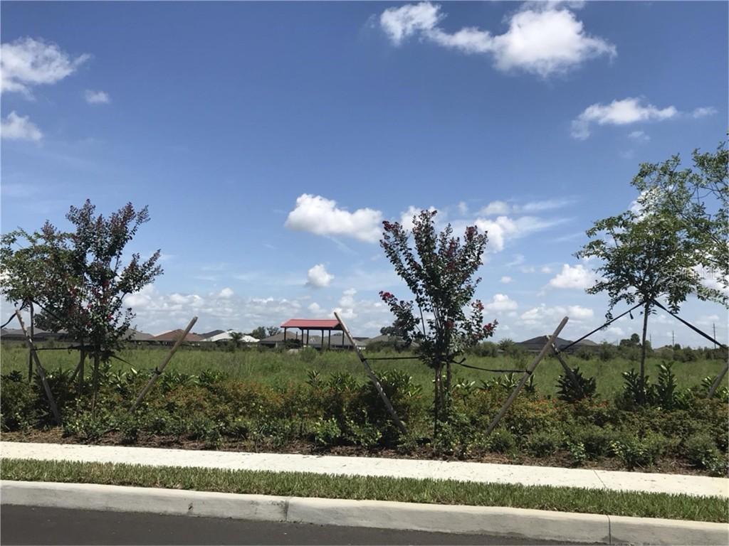 [Address Hidden by Seller], Wildwood, FL 34785