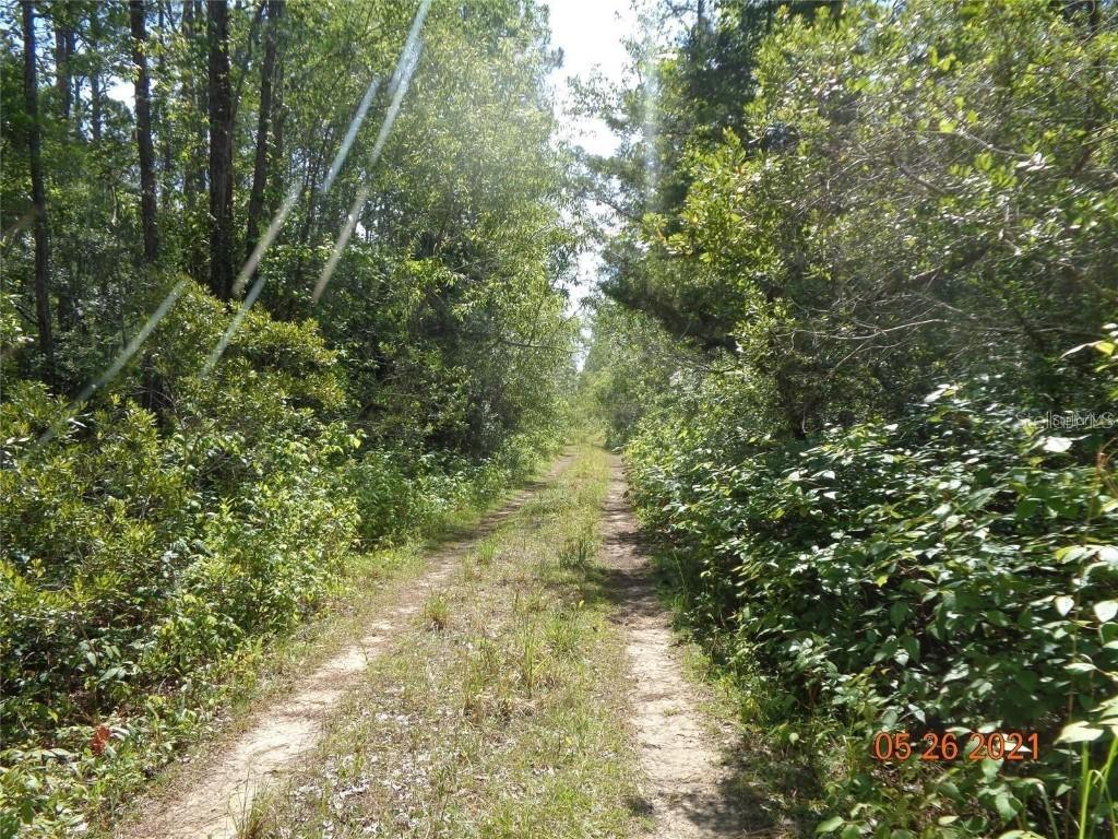 Deland Crossings Blvd., Deland, FL 32724