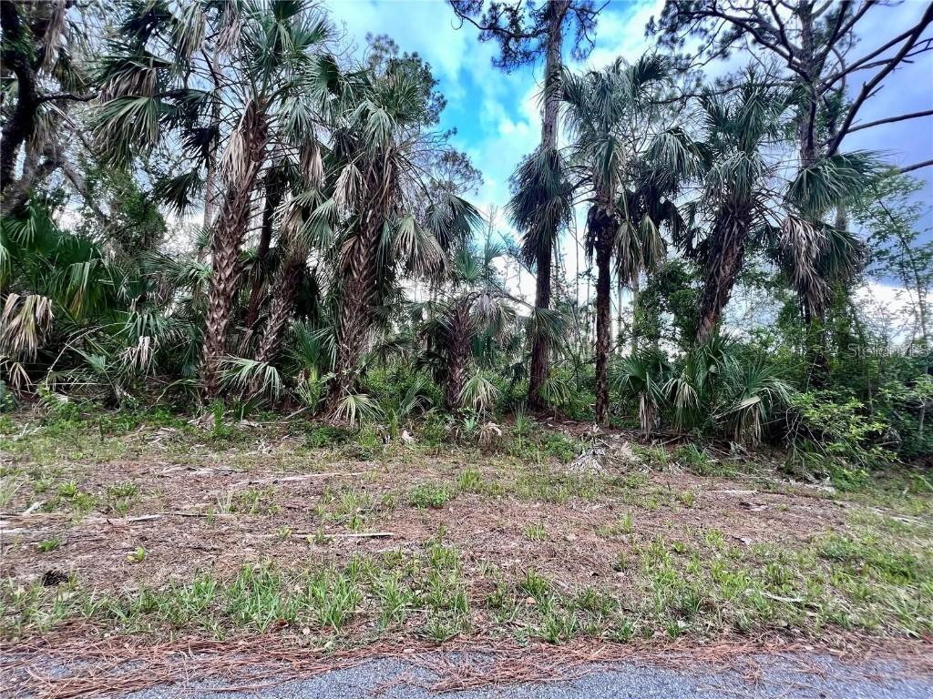 360 Manly St., Port Charlotte, FL 33953