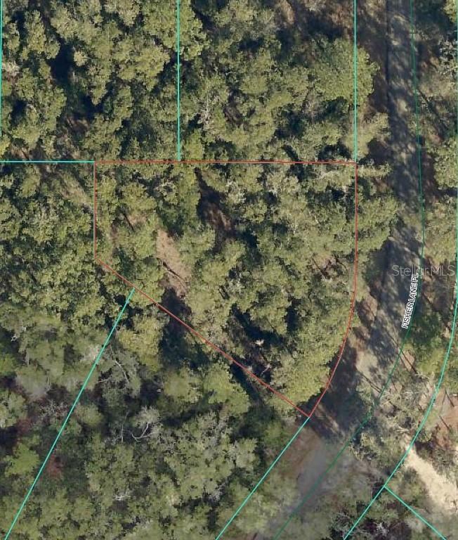 Fisher Lane Pl., Ocklawaha, FL 32179