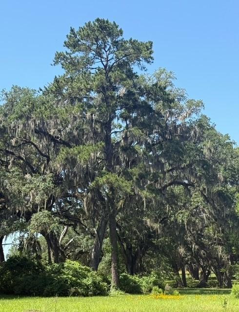 TBD NW 61st Lane, Ocala, FL 34482