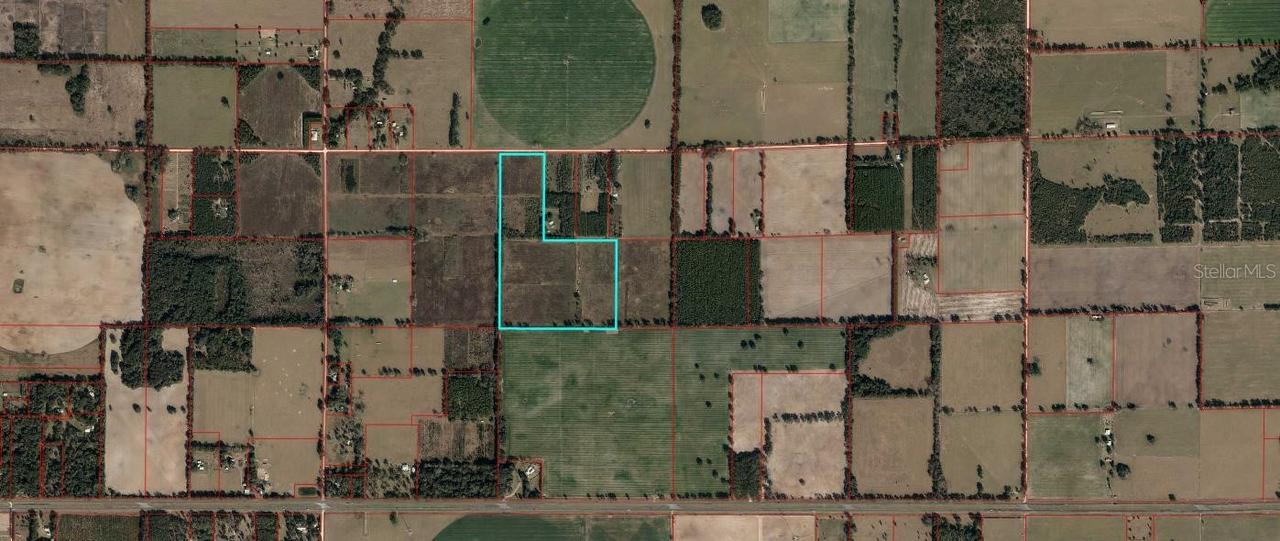 [Address Hidden by Seller], Chiefland, FL 32626