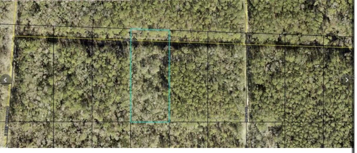 21-10-28-2775-00040-0885 Lena St., Hastings, FL 32145