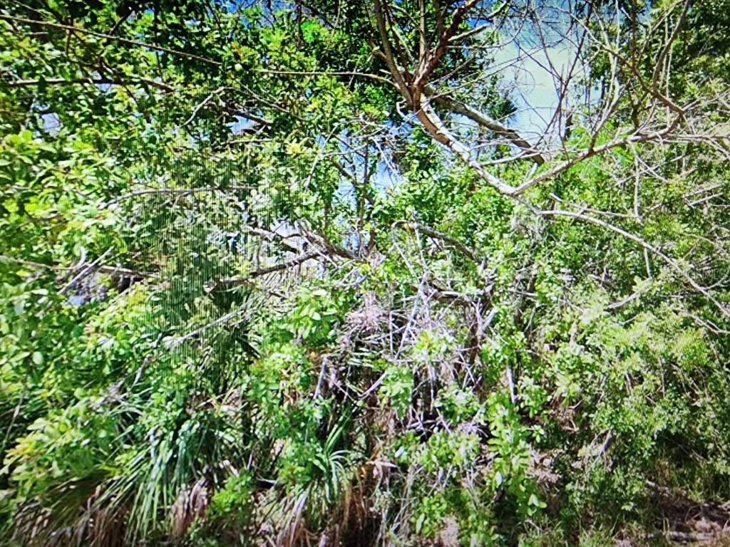 Dingus Ln., Hudson, FL 34667