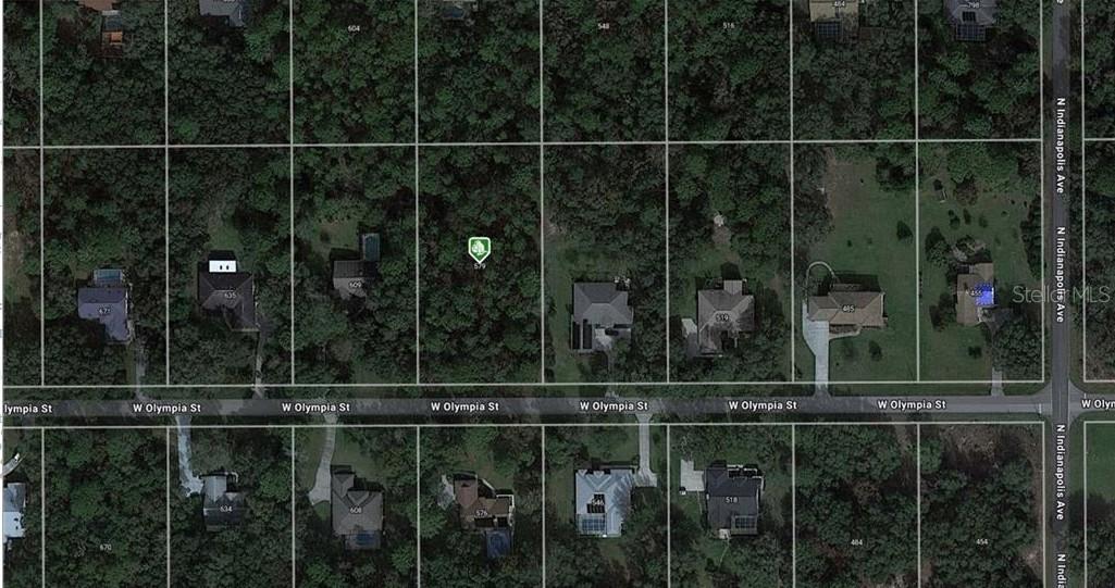 579 W Olympia St., Hernando, FL 34442