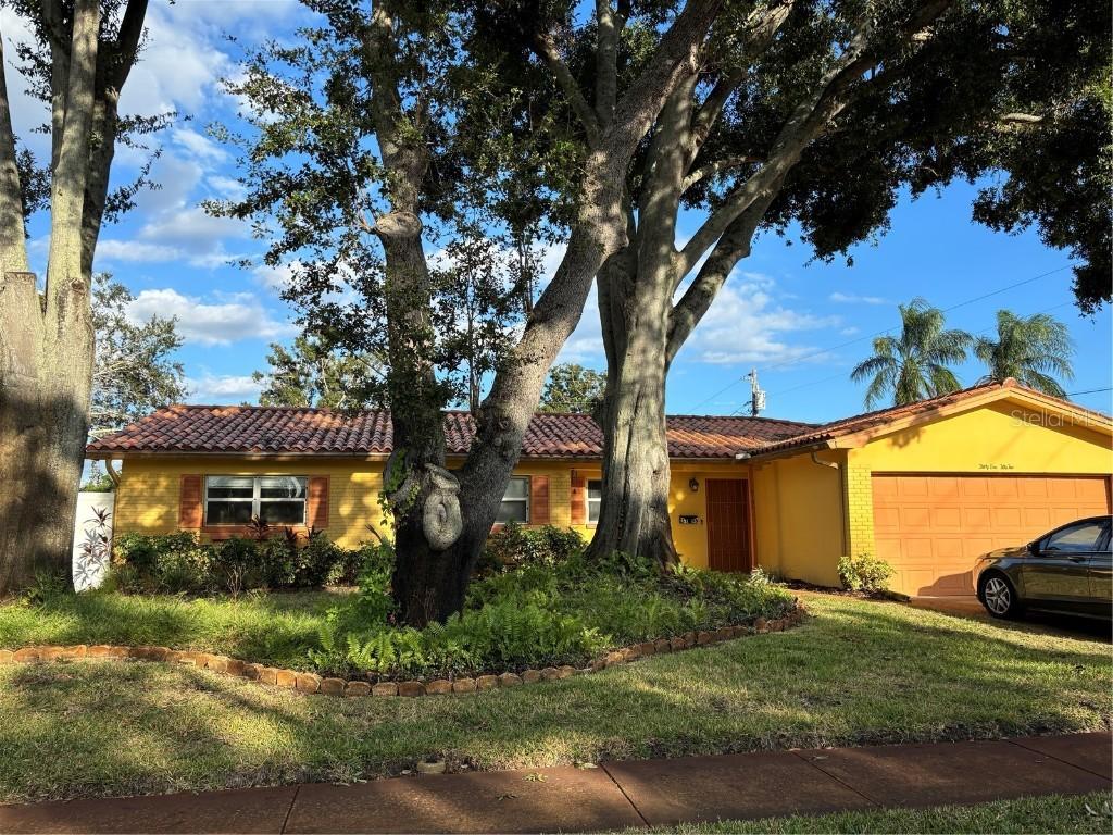 3155 65th St., St Petersburg, FL 33710